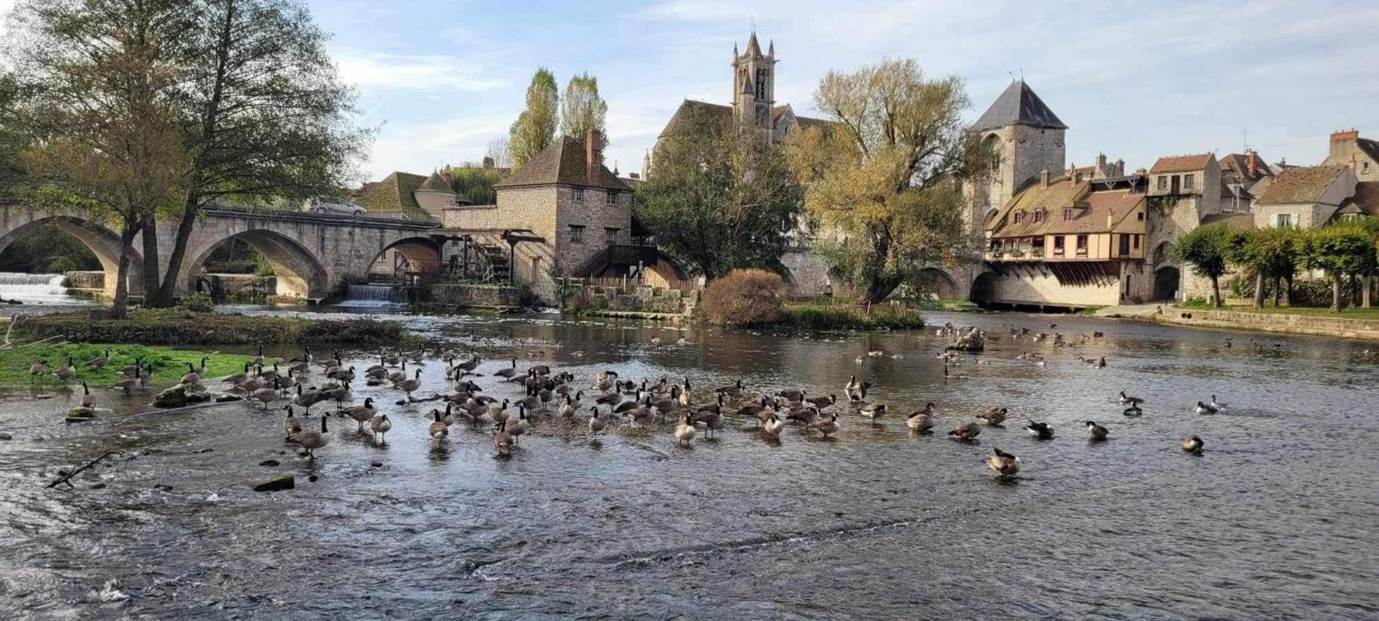 Detente A Sorques Montigny-sur-Loing Eksteriør billede